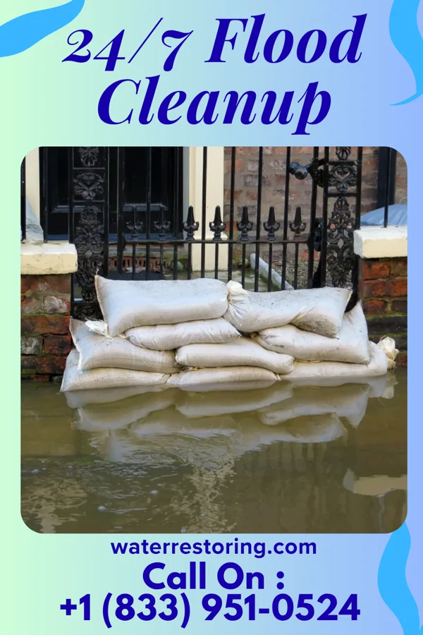 24/7 Flood Cleanup in Town Line, NY