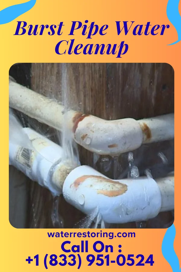 Burst Pipe Water Cleanup in Town Line, NY