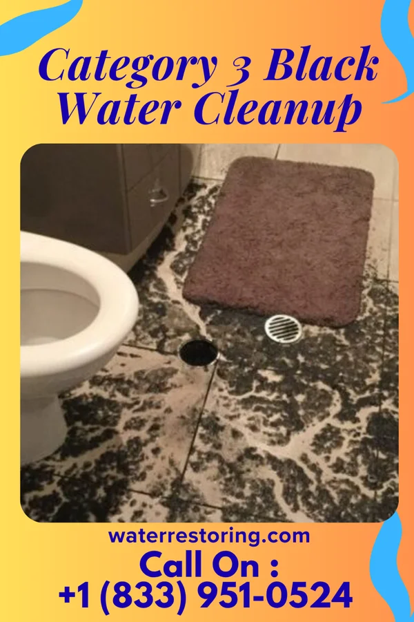 Category 3 Black Water Cleanup in Town Line, NY