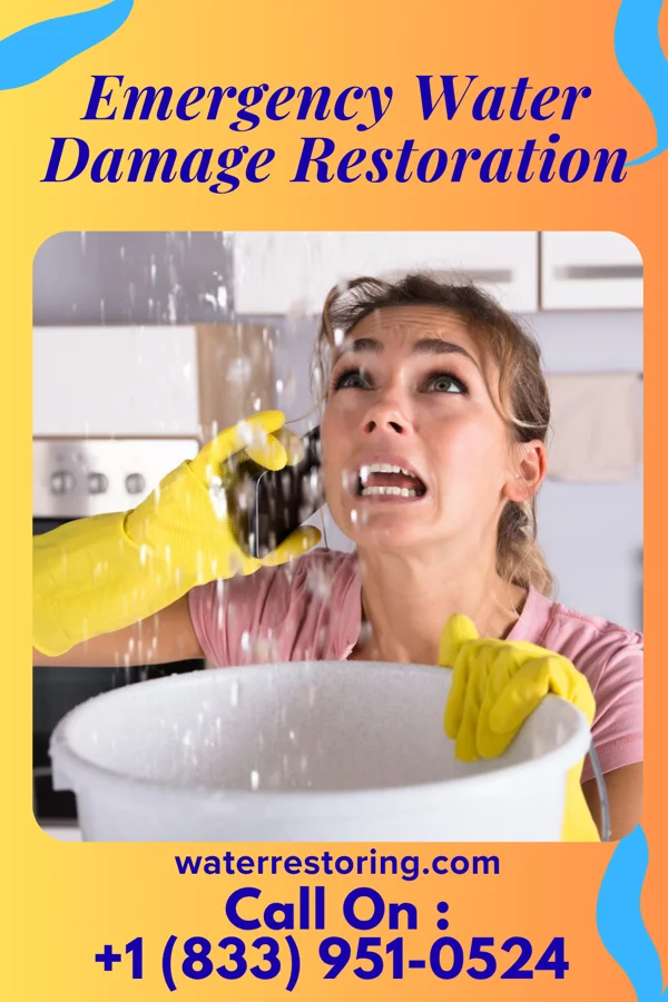 Emergency Water Damage Restoration in Town Line, NY