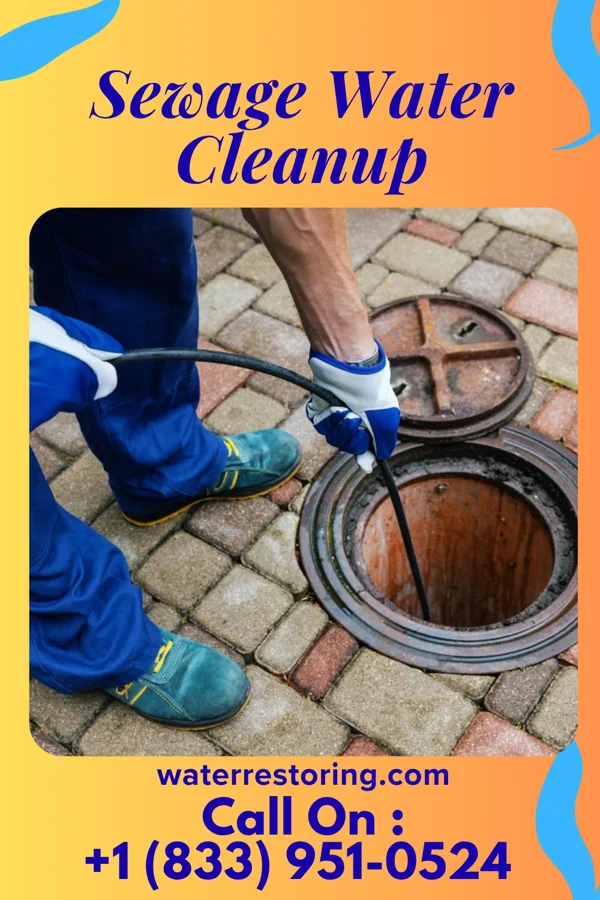 Sewage Water Cleanup in Town Line, NY